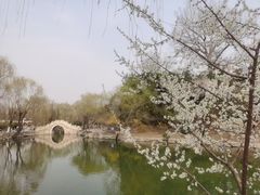 -新清华学堂