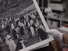 -二酉书店TOYOU BOOKS