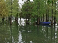 -白鹭湾湿地公园