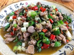 -青城甲(青城山店)