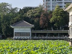 -荔湾湖公园