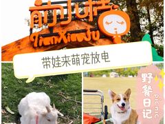 -前小桔亲子创意农场·草莓采摘·露营烧烤
