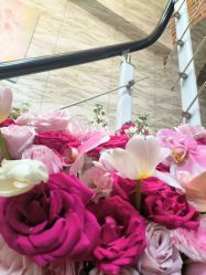 -Xmm小蜜密私密健康抗衰连锁品牌