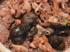 -食爺炭炉鸡煲·烧烤