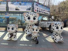 -青藏高原野生动物园