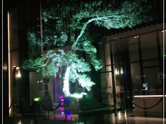 -上海崇明金茂凯悦酒店