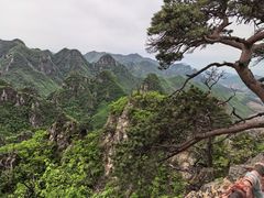 -大连天门山国家森林公园