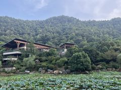 -桃花岭景区
