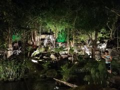 -绿光森林餐厅