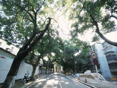 -野狸岛
