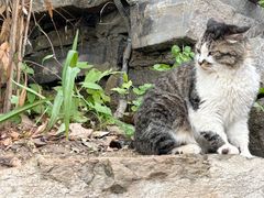 -终南山南五台景区