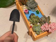 -Sony Store索尼(广州正佳店)