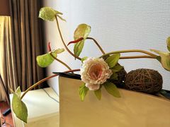 -利苑酒家(金宝店)