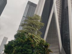 -平安金融中心云际观光层