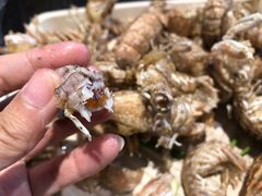 -盒马鲜生(宝地店)