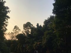 -广州市帽峰山景区