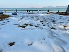 -悦海公园