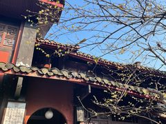 -峨眉山报国寺