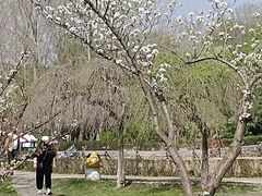 -哈尔滨北方森林动物园