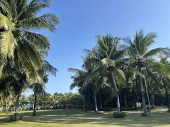 -三亚海棠湾喜来登度假酒店