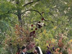 -怪咖·joker陈楠