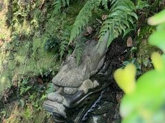 -十八棵（老龙井）御茶园(老龙井店)