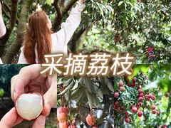 -聚缘海鲜酒家(厚街店)