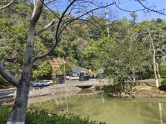 -火炉山森林公园