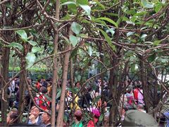 -韶山毛泽东同志故居