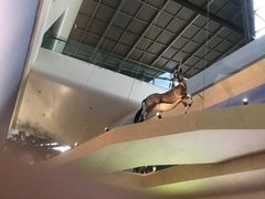-武汉园博园(武汉自然博物馆)