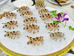 -富来美食(成发大厦店)