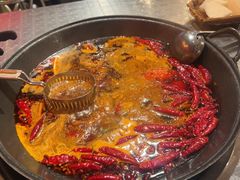 -朱光玉火锅馆(龙阳广场店)
