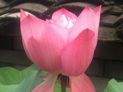 -峡谷农家乐饭店