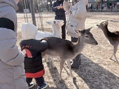 -北京麋鹿生态实验中心