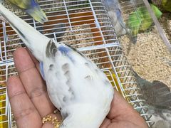 -三旗百汇商品城