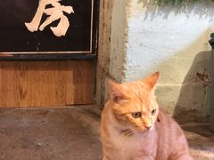 -大王油茶(磁器口店)
