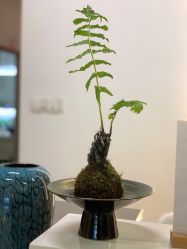 点击看大图 -静待花开瑜伽尊巴会馆