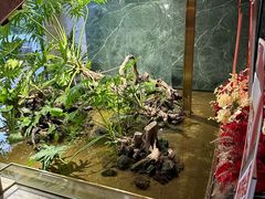 -宴周康·精致江浙菜(周浦店)