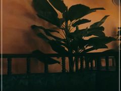 -煲宫猪肚鸡(昆山金鹰国际购物中心店)