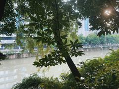 -成都市活水公园