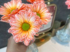 -潇湘府PLUS(大族广场店)