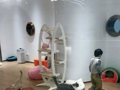 -1013 PET SHOP精品宠物商店(丁香店)
