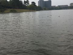 -美兰湖景区