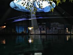 -香港海洋公园