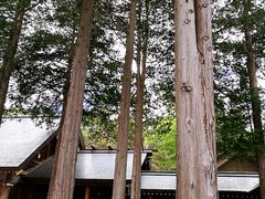 -北海道神宫