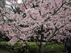 -静安雕塑公园