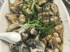 -银峰农庄·特色烧鸡·鲜无花果浸鸡
