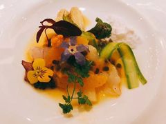 -蝶舍·MAISON PAPILLON