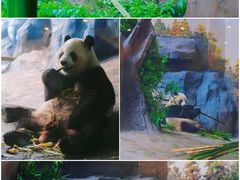 -乐和乐都主题乐园