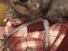 -贝康宠物医院·犬猫全科·小动物特色诊疗中心(东环路店)
